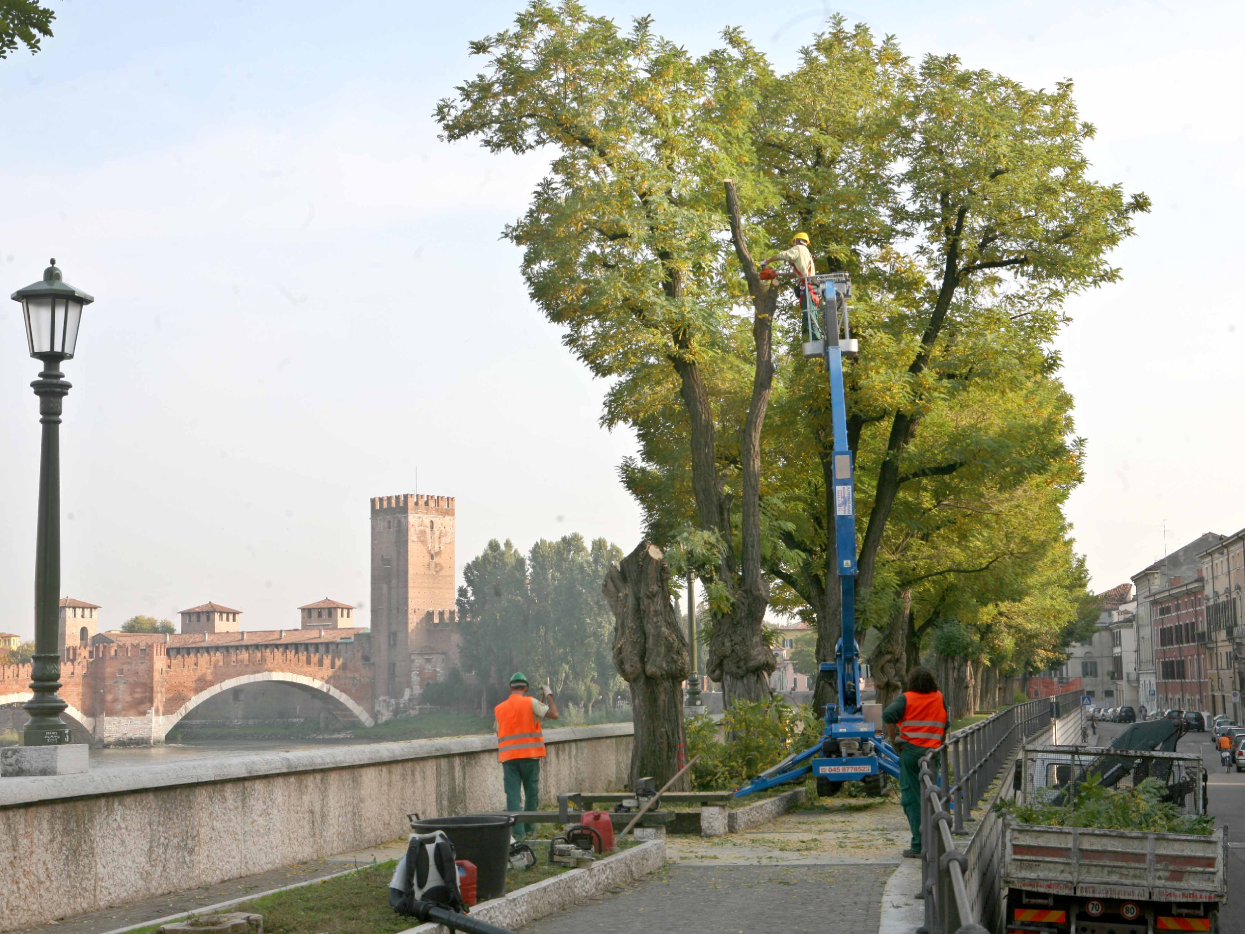 Le prime operazioni di taglio delle robinie di regaste San Zeno, ieri  mattina FOTO MARCHIORI 