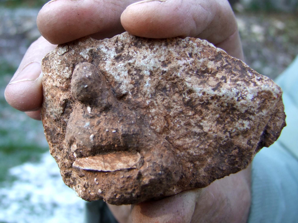 La «Venere della Valpantena», il reperto archeologico scoperto da un ragazzino in gita scolastica 