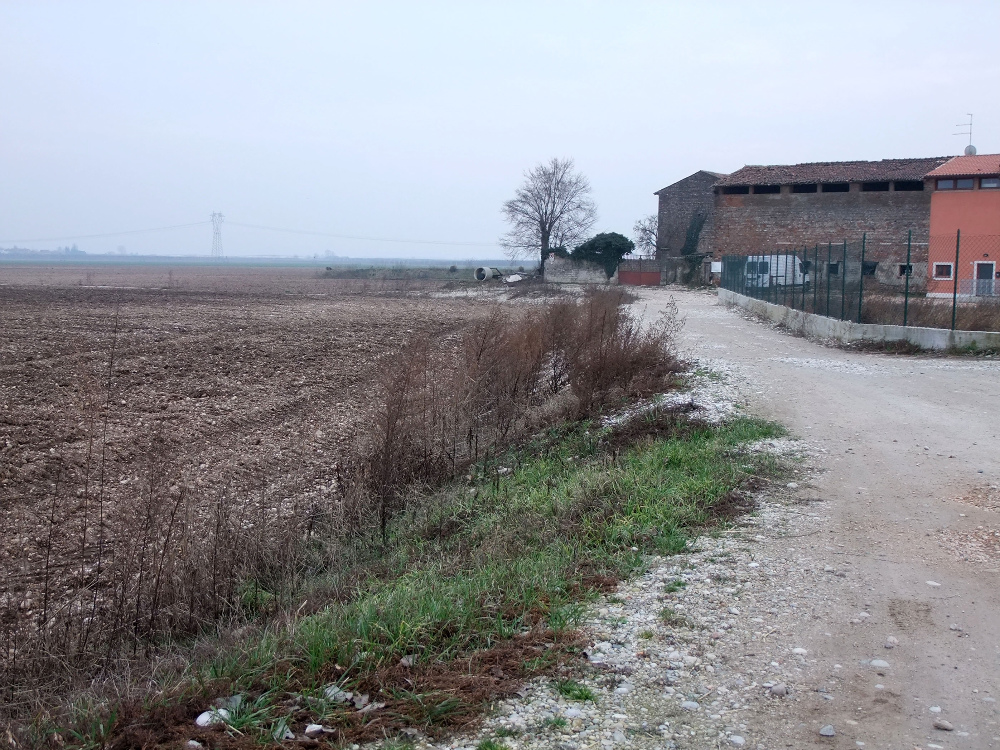 L’area sulla quale verranno effettuati i nuovi scavi FOTO AMATO 