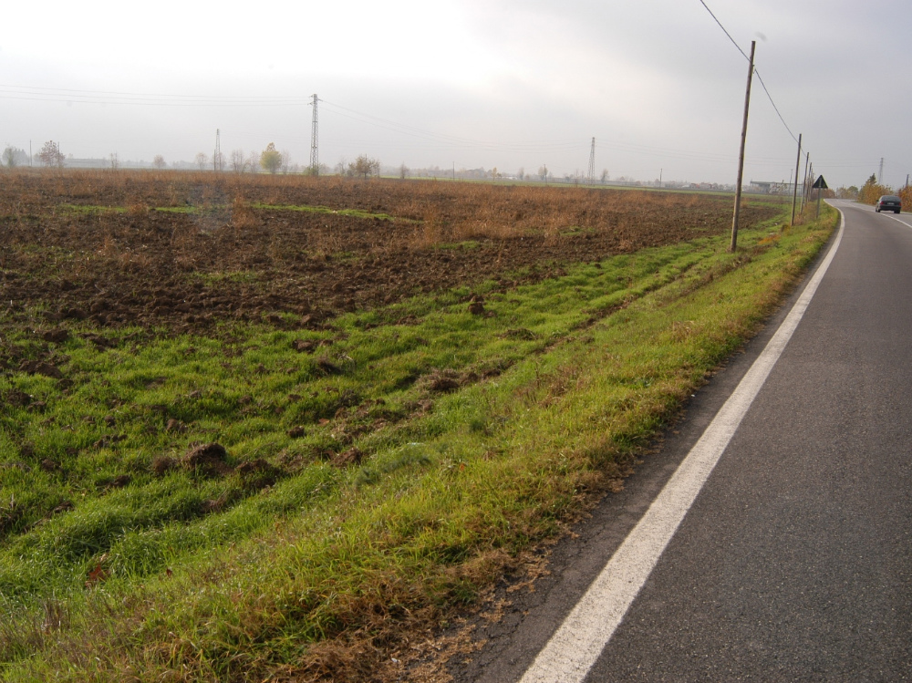 L’area su cui verrà realizzato il centro agroalimentare 