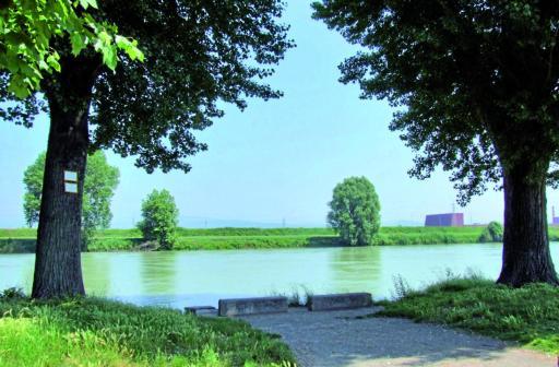 
 L'Adige domenica sarà teatro della «Festa delle boche», tradizione nata nel 1600 in ambito agricolo