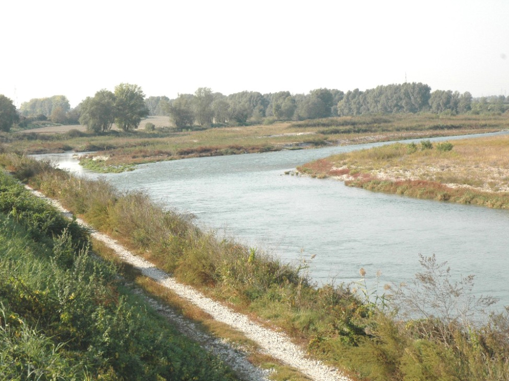L’Adige all’altezza di Pontoncello: qui dovrebbe nascere il parco 
