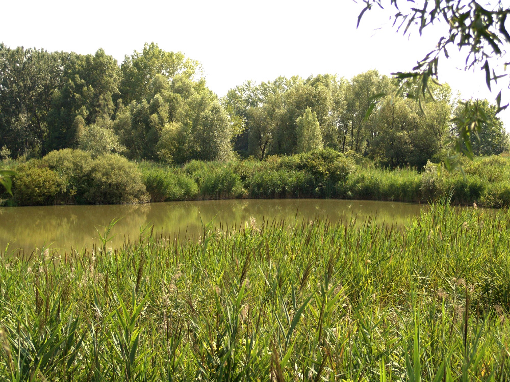 Cava Moneta diventerà un parco naturalistico: la Regione ha favorito l’acquisto delle aree   