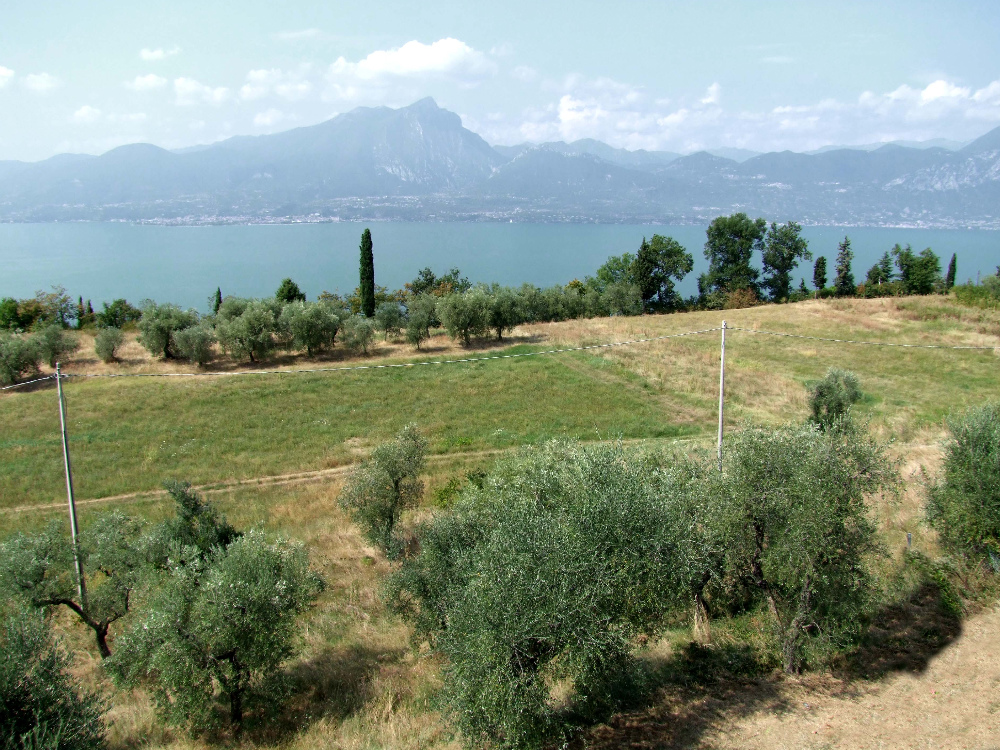 Località La Sorte dove dovrebbe sorgere il residence turistico alberghiero di Cooperativa Azzurra 