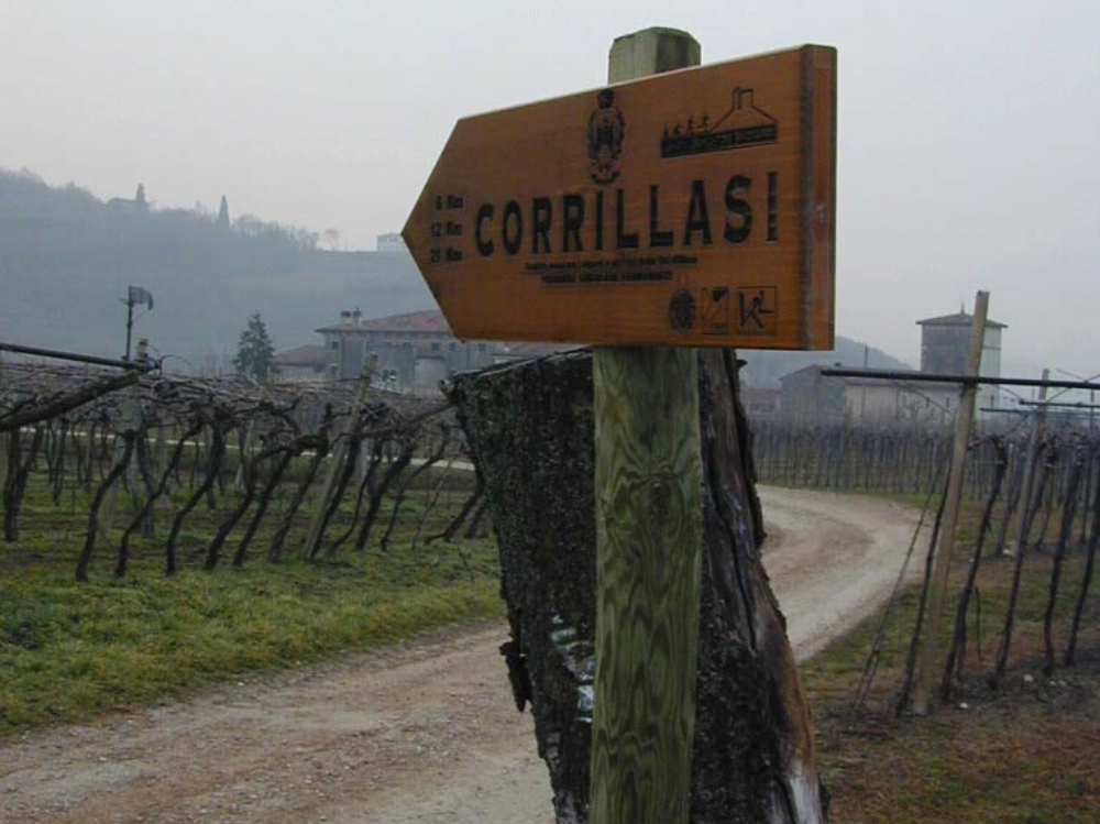 Un tratto del percorso su cui si svolgerà la camminata   
