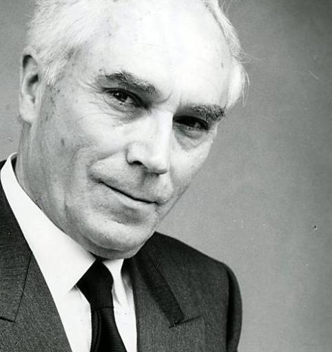 
 Amorino Morandini