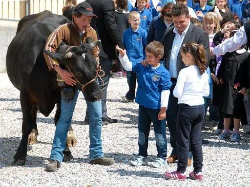 Due bimbi accarezzano la mucca nel piazzale della scuola