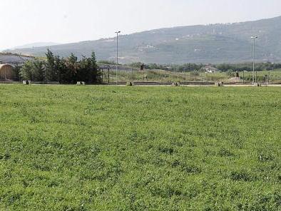 L'area del cosiddetto vigneto Ferrari, a ridosso della discarica di Ca' Filissine FOTO AMATO