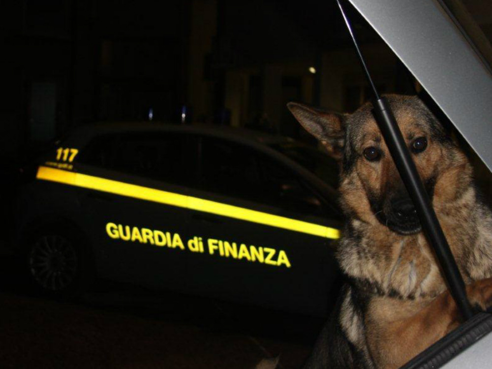 Unit&agrave; cinofile&nbsp;della Guardia di Finanza (ARCHIVIO)