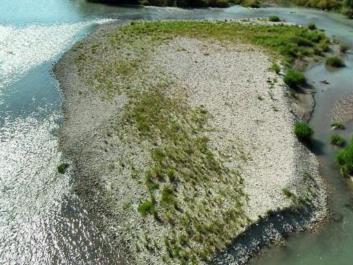 La scarsità d'acqua si fa sentire anche sull'Adige FOTO AMATO